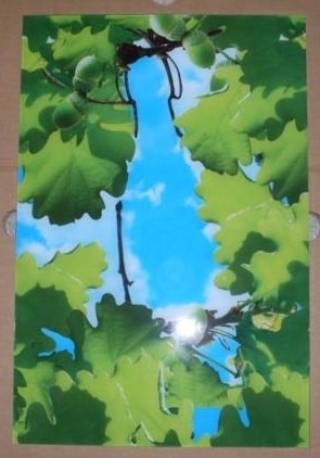 Poster - luchtbeugel 