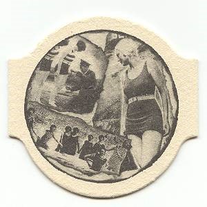 zwemster — viltje